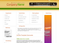 IBSI-US.COM Affordable Custom Web site design Tampa Florida